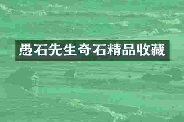 愚石先生奇石精品收藏