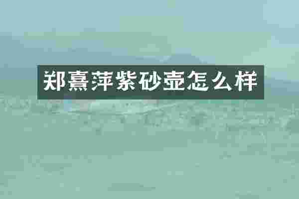 郑熹萍紫砂壶怎么样