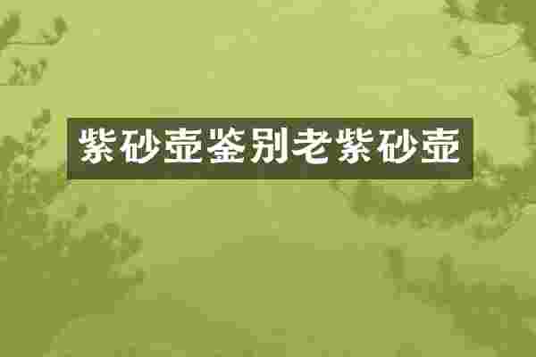 紫砂壶鉴别老紫砂壶
