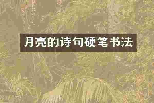 月亮的诗句硬笔书法