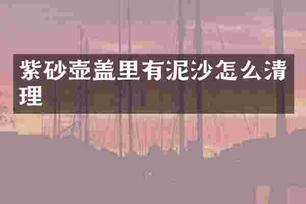 紫砂壶盖里有泥沙怎么清理