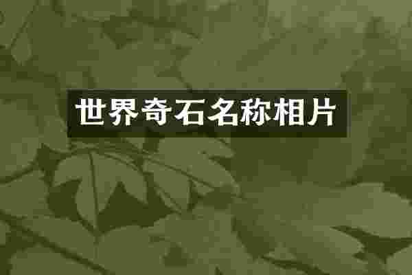 世界奇石名称相片
