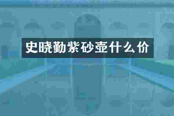 史晓勤紫砂壶什么价