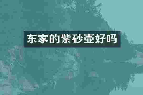 东家的紫砂壶好吗
