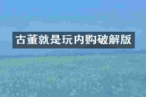 古董就是玩内购破解版