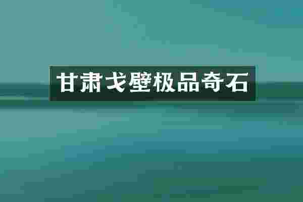 甘肃戈壁极品奇石
