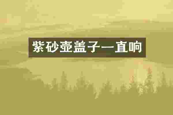 紫砂壶盖子一直响