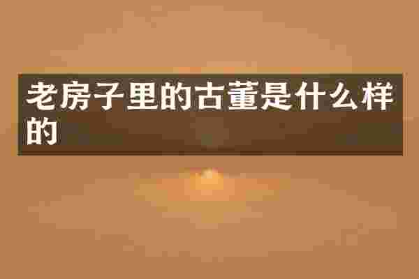 老房子里的古董是什么样的