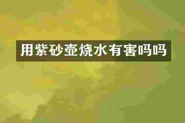 用紫砂壶烧水有害吗吗