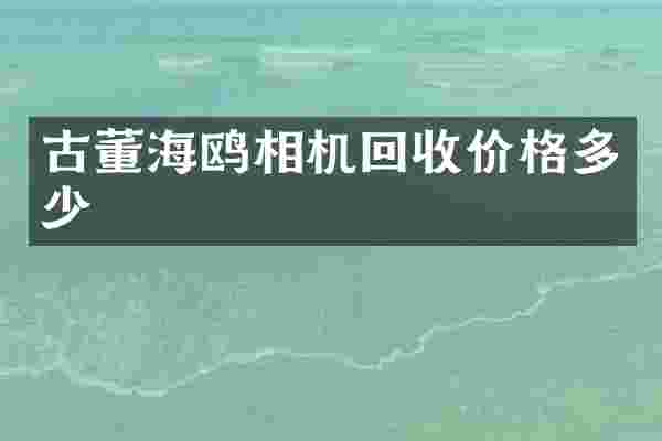 古董海鸥相机回收价格多少
