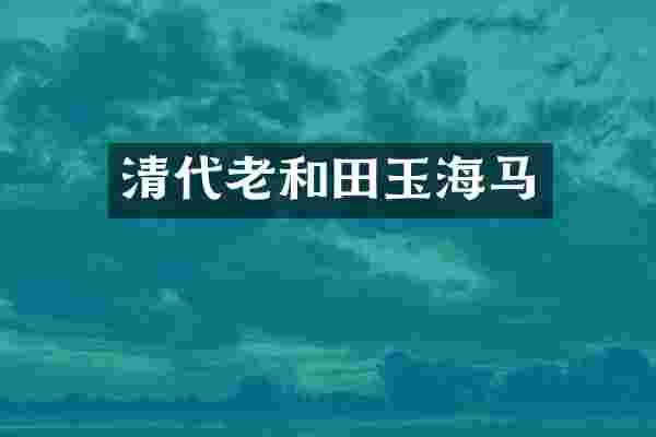 清代老和田玉海马
