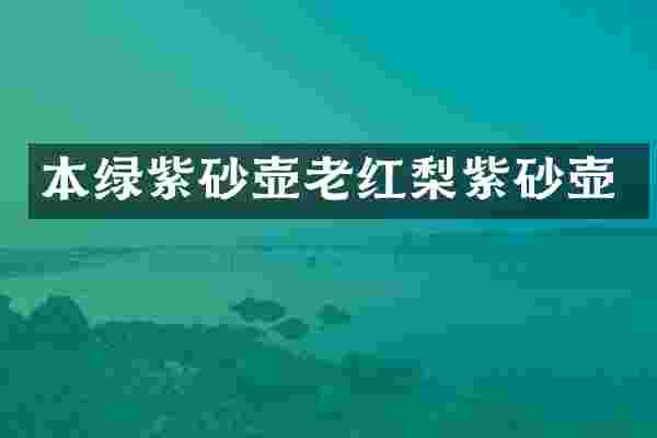 本绿紫砂壶老红梨紫砂壶