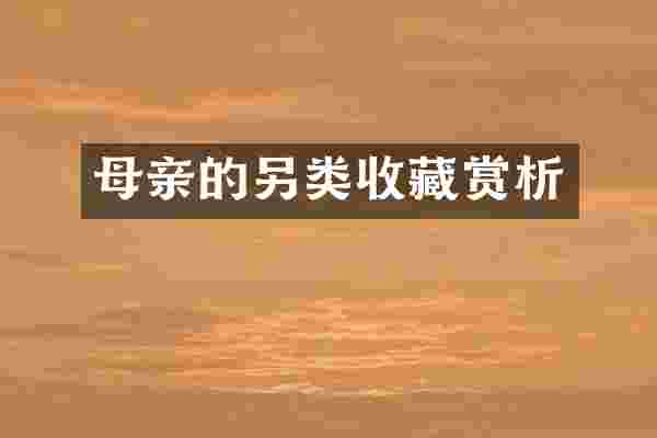 母亲的另类收藏赏析