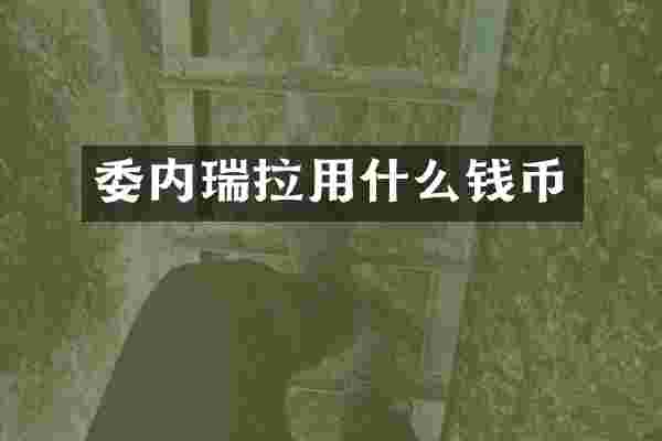 委内瑞拉用什么钱币
