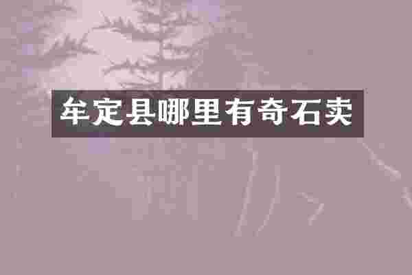 牟定县哪里有奇石卖