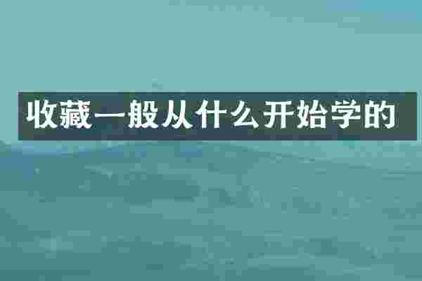 收藏一般从什么开始学的