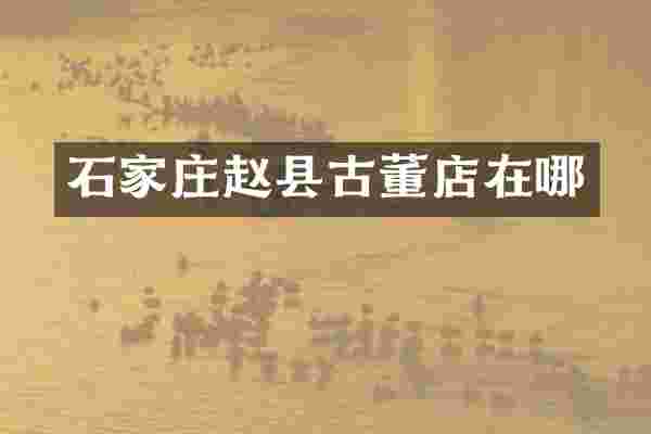 石家庄赵县古董店在哪
