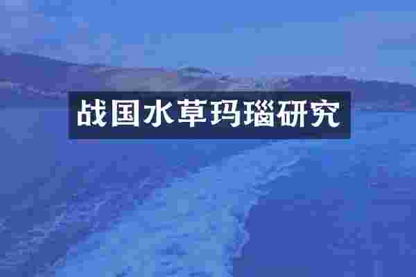 战国水草玛瑙研究