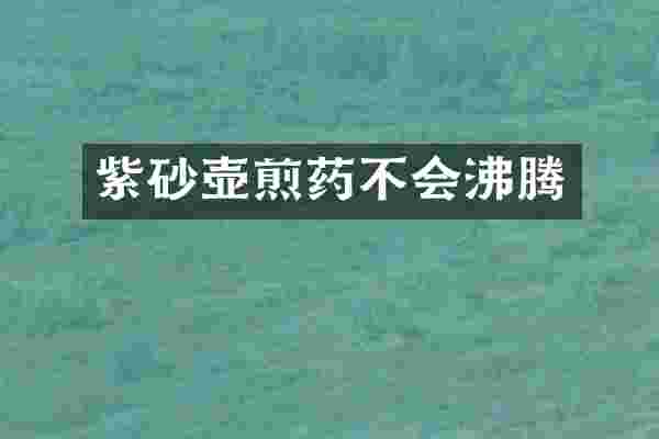 紫砂壶煎药不会沸腾
