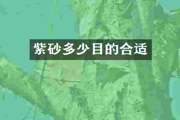 紫砂多少目的合适