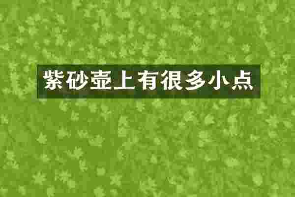 紫砂壶上有很多小点