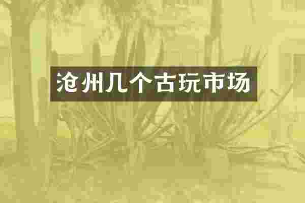 沧州几个古玩市场
