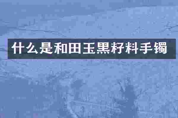 什么是和田玉黑籽料手镯