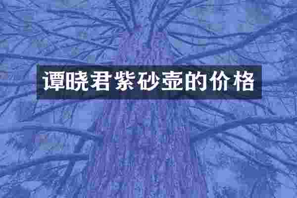 谭晓君紫砂壶的价格