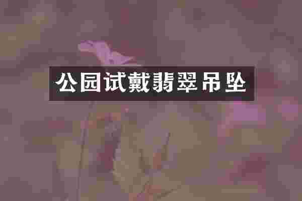 公园试戴翡翠吊坠