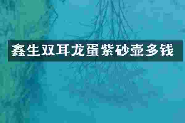 鑫生双耳龙蛋紫砂壶多钱