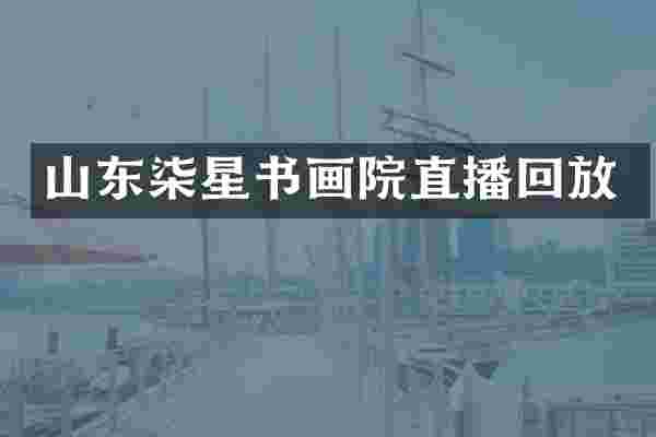 山东柒星书画院直播回放