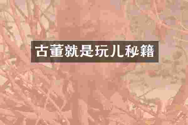 古董就是玩儿秘籍