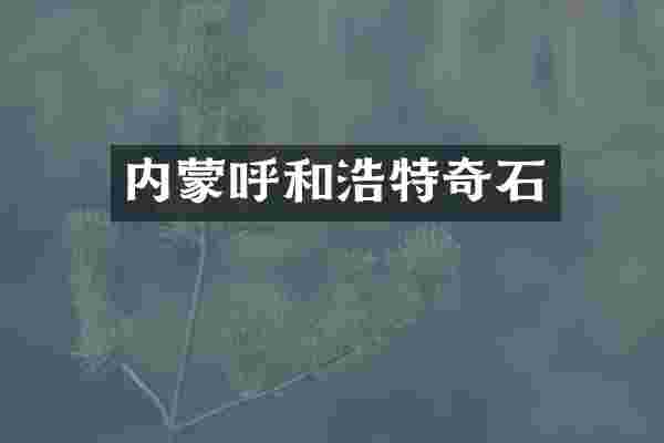 内蒙呼和浩特奇石