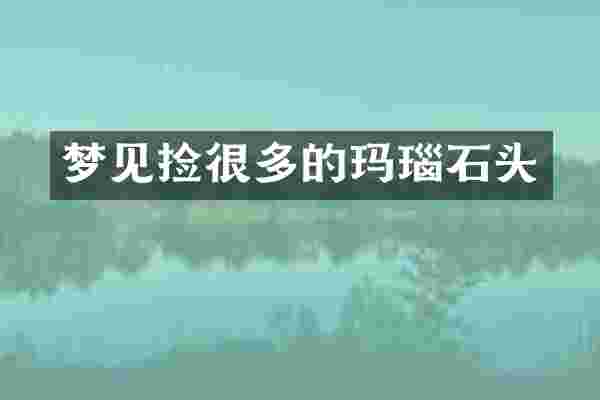 梦见捡很多的玛瑙石头
