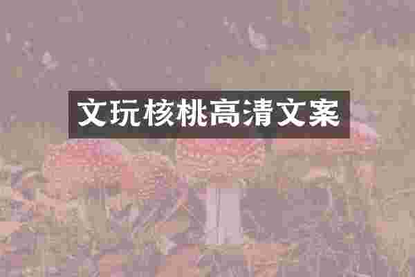 文玩核桃高清文案