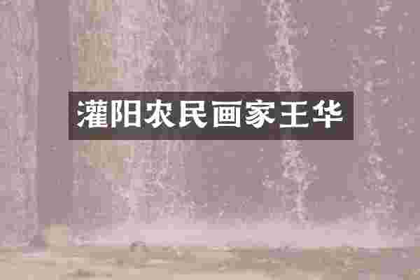 灌阳农民画家王华