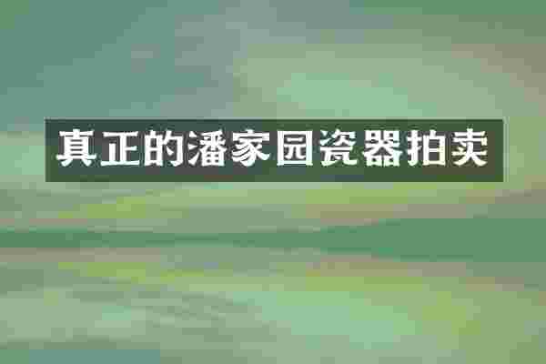 真正的潘家园瓷器拍卖