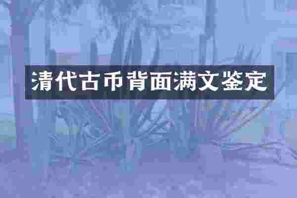 清代古币背面满文鉴定