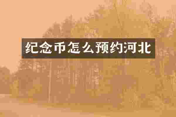 纪念币怎么预约河北