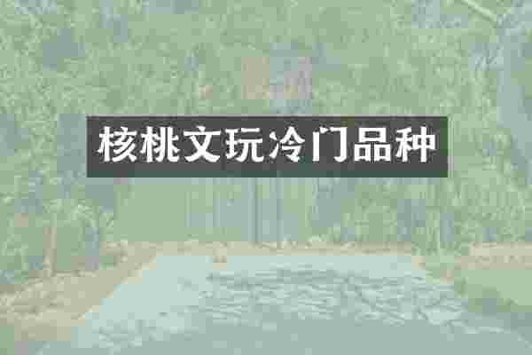 核桃文玩冷门品种