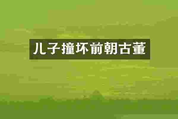 儿子撞坏前朝古董