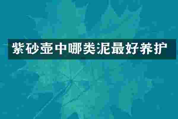 紫砂壶中哪类泥最好养护