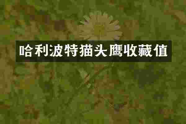 哈利波特猫头鹰收藏值