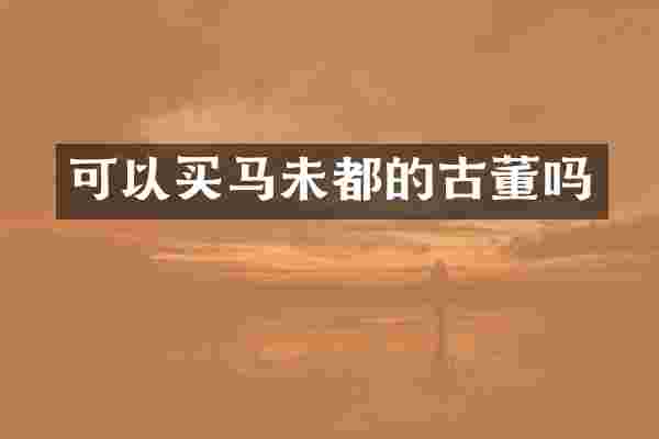 可以未都的古董吗