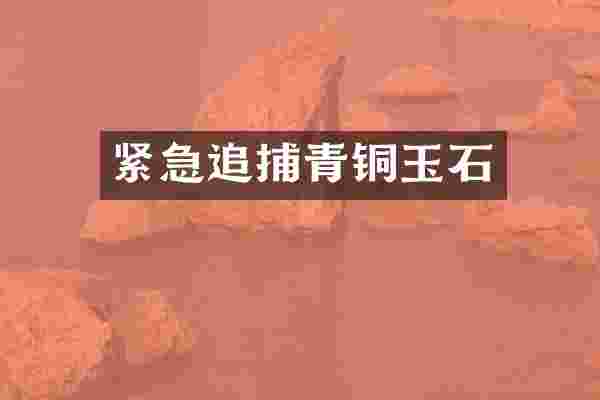 紧急追捕青铜玉石