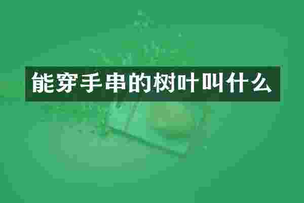 能穿手串的树叶叫什么