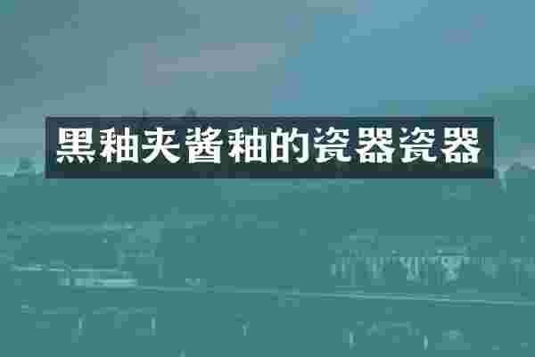 黑釉夹酱釉的瓷器瓷器