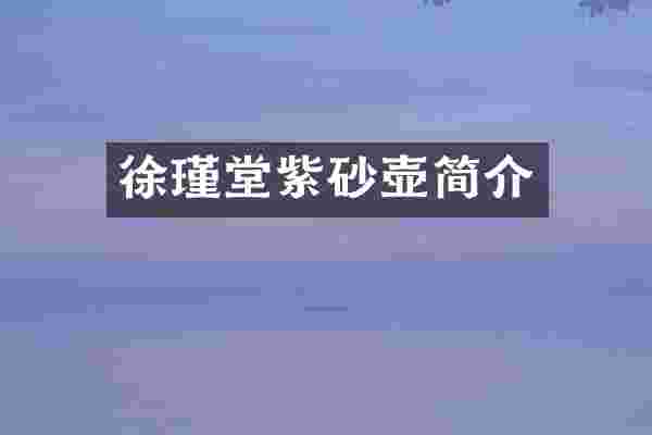 徐瑾堂紫砂壶简介