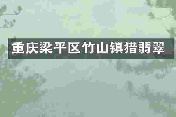 重庆梁平区竹山镇猎翡翠