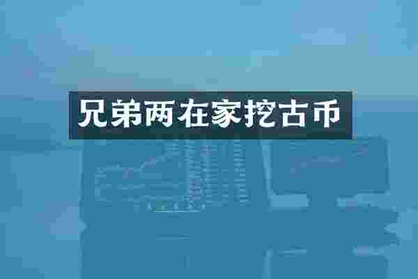 兄弟两在家挖古币